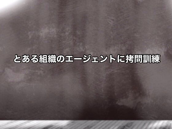 とある組織のエージェントに拷問訓練(@さう) [d_449202]
