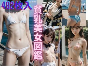 貧乳美女図鑑(川瀬と遊園地) [d_292600]