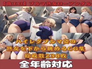 【微エロ】フェチコレVol.14 ハイレグビキニ姿の熟女を下から眺めるイラスト集（ローアングル中心）【総枚数238枚】(満点星) [d_347899]