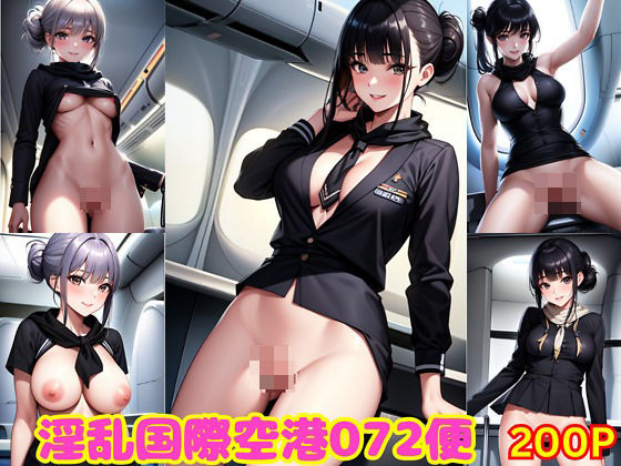 淫乱国際空港072便(美女図鑑) [d_369072]