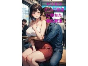 ヤリモクナンパ男達に堕ちた爆乳妻達(fundreamer) [d_401951]