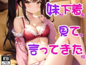 妹が下着を見てって言ってきた件(AIreo) [d_430439]