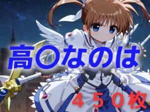 魔法少女、はじめました(AIUEOEKAKI) [d_455698]