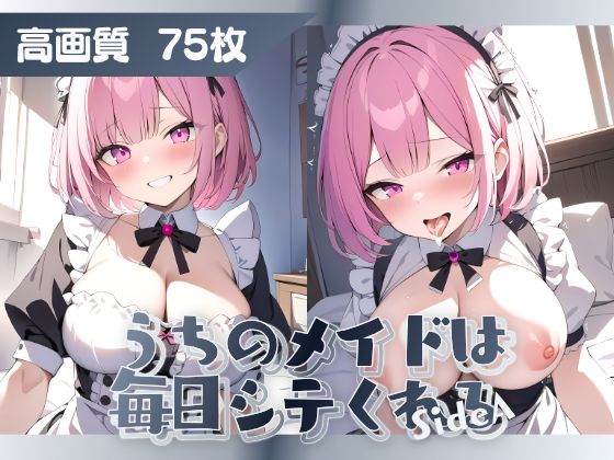 うちのメイドは毎日シテくれる SideA 3(はつゆき) [d_456731]