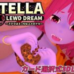 ステラはえっちなユメのナカ(Nuts Pecker) [d_458277]