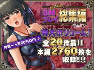 【超豪華版】SMプレイ 総集編【どろっぷす！】(どろっぷす！) [d_458354]