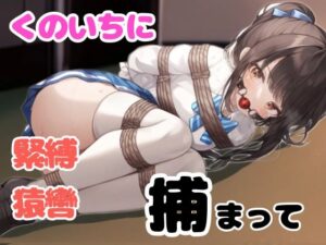 くのいちに緊縛されて媚薬を塗られる【猿轡】(ぷよのDID倉庫) [d_458357]