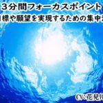 「3分間フォーカスポイント」 ビジネス用マインドセット -目標や願望を実現するための集中法 -(まほー工房) [d_459161]