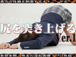 【AIイラスト】四つん這い:尻を突き上げる 編 vol.1(女体カタログ) [d_461665]