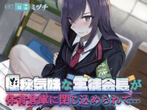 【排泄我慢】便秘気味な生徒会長が体育倉庫に閉じ込められて…〜ADV式音声作品〜(お漏らしふぇち部) [d_467495]