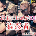 真夜中に猫忍者とお忍びSEX(starking) [d_428236]