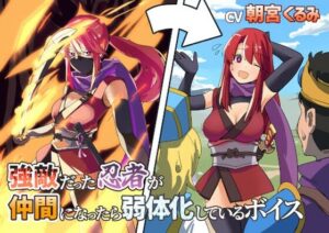 強敵だった忍者が仲間になったら弱体化しているボイス(末期偶想) [d_465564]