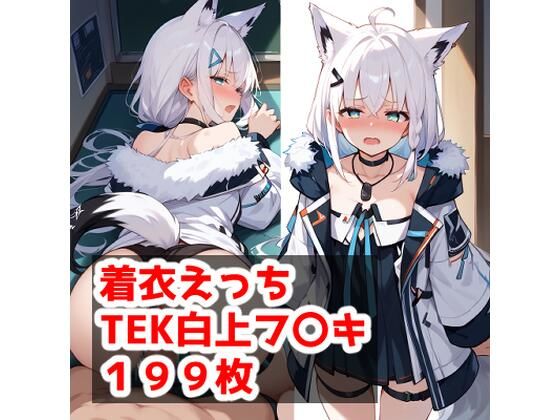 着衣えっち 白上フ〇キ編(テイコク) [d_467732]