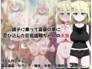 調子に乗って富豪の家に忍び込んだ巨乳盗賊ちゃんの末路(路満) [d_467958]