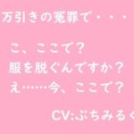 【音声作品】万引き冤罪(ぷちみるく) [d_469229]