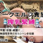 【超乳緊縛】ダークエルフ搾乳物語〜闇の宴、屈服の美徳〜(AIザッハトルテ３) [d_469884]