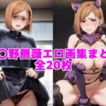 釘〇野薔薇エロ画集まとめ【全20枚】(とろフェチ) [d_472980]