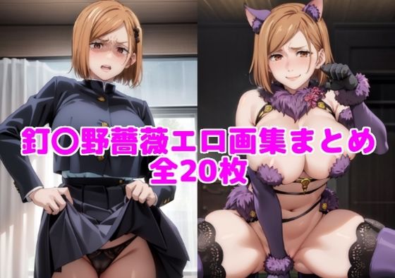 釘〇野薔薇エロ画集まとめ【全20枚】(とろフェチ) [d_472980]