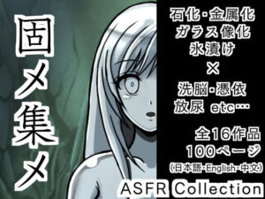 固メ集メ(いるこの部屋) [d_473760]