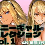 バニーギャルコレクション vol. 1(brzezy) [d_474142]