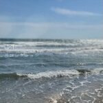 【初音ミク×ボカコレ，無色透名祭】透明リコレクション(NoViLholic) [d_474150]