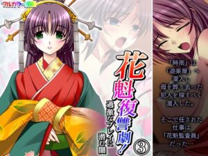 花魁復讐劇！過激なプレイに潜む闇 3巻(あまからや) [d_474351]