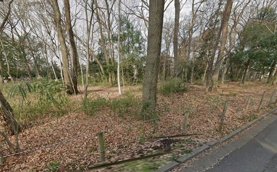 レ●プしやすい場所:雑木林でレ●プする方法(性癖を満たそう) [d_474491]