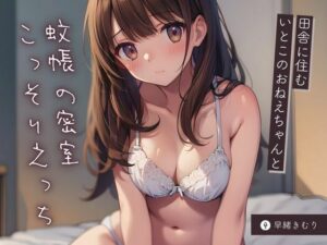 田舎に住むいとこのおねえちゃんと蚊帳の密室こっそりえっち【KU100】(いたずらえっち 〜性癖よ恍惚なれ〜) [d_474780]