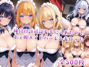 【セリフ付き】種付け許可証を手に入れたのでボテ腹メイドハーレムを作った(星屑ヒロインズ) [d_475945]