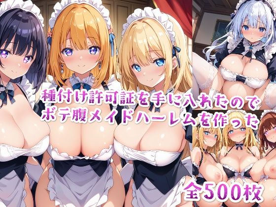 【セリフ付き】種付け許可証を手に入れたのでボテ腹メイドハーレムを作った(星屑ヒロインズ) [d_475945]