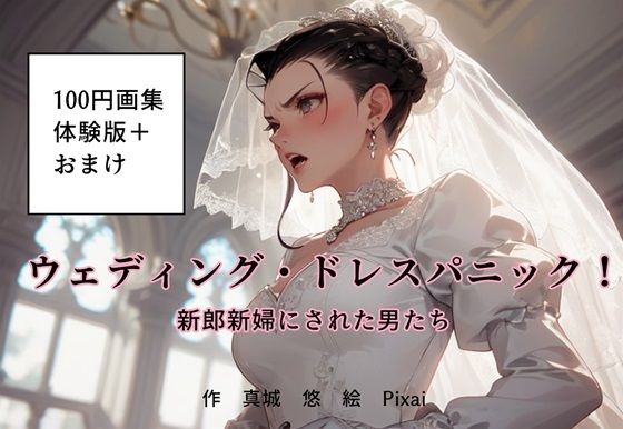100円画集「ウェディング・ドレスパニック！新郎新婦にされた男たち、体験版＋おまけ」(真城のソフトハウス) [d_476399]