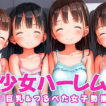 少女ハーレム ロり巨乳＆つるぺた女子勢揃い(にくだんご) [d_476752]