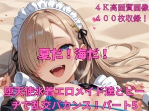 夏だ！海だ！堕天使水着エロメイド達とビーチで乱交バカンス！パート5(楽園への誘い) [d_476777]