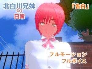 【告白】近親相姦〜実の妹と双子の兄との、終わらない精液まみれセックス〜(nacel) [d_482683]