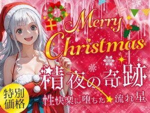 Merry Cristmas 精夜の奇跡 性快楽に落ちた流れ星(フワガールズ) [d_463660]