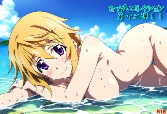 おっぱいコレクション第十二弾！！(おっぱいマン) [d_481510]