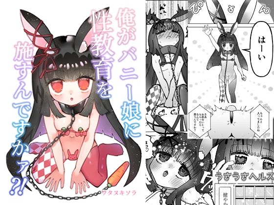 俺がバニー娘に性教育を施すんですかァ？！(ワタヌキソラ) [d_484837]