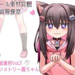 【高解像度】立ち絵素材Vol3 アシンメトリーねこみみちゃん(すいみん荘) [d_491451]