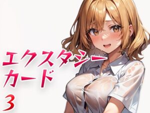 エクスタシーカード3(パピヨン工房) [d_491723]