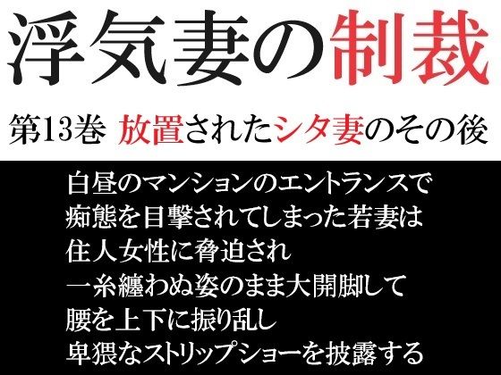 浮気妻の制裁 第13巻 放置されたシタ妻のその後(海老沢  薫) [d_491878]