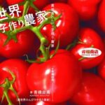 異世界のんびり子作り農家(青橋商店) [d_492363]