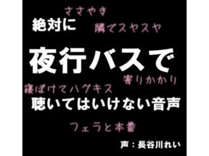 絶対に夜行バスで聴いてはいけない音声【囁き/耳舐め/フェラ/おさわり/本番】(玲の部屋) [d_494226]