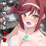 ゼノブレイド2・3えちちイラスト本2(ShaDraw) [d_495315]