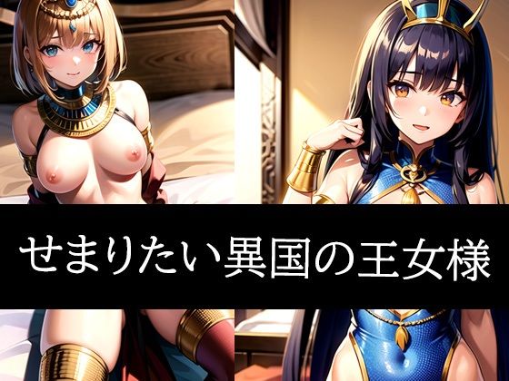 せまりたい異国の王女様(ぽっけぽけ) [d_486672]