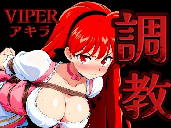 調教緊縛 VIPERアキラ(ががががちゃ) [d_493848]