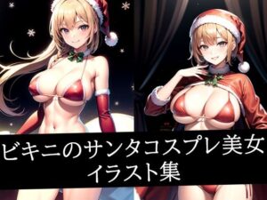 ビキニのサンタコスプレ美女イラスト集(ラテ) [d_498382]