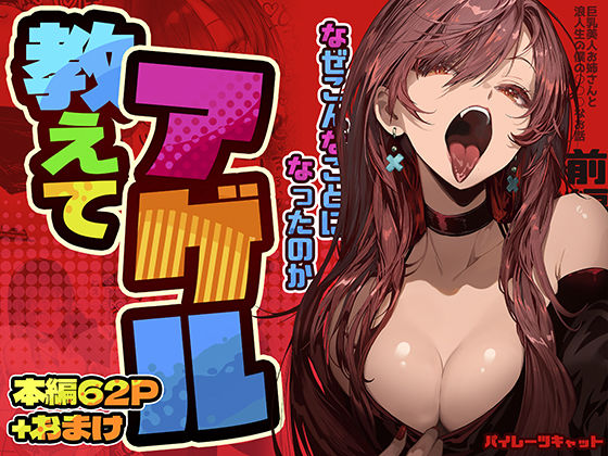 教えてアゲル〜巨乳美人お姉さんと浪人生の僕の○○なお話・前編〜(パイレーツキャット) [d_498650]