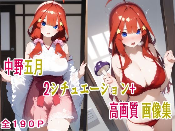 中野五月 2シチュエーション＋ 高画質画像集(こーらる・ぱーぷる) [d_501331]