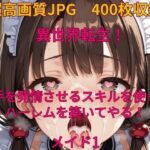 異世界転生！相手を発情させるスキルでハーレムを築いてやる！メイド1(みやふじ屋) [d_503368]