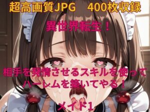 異世界転生！相手を発情させるスキルでハーレムを築いてやる！メイド1(みやふじ屋) [d_503368]